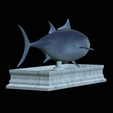 Tuna-model-9.png fish tuna bluefin / Thunnus thynnus statue detailed texture for 3d printing