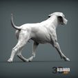 rhodesian-ridgeback-running5.jpg rhodesian ridgeback running 3D printed model