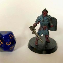 Hobgoblin (sword and shield)