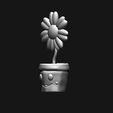 flower3.jpg Cute Flowerpot