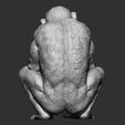 Chimpanzee-monkey-stl-3d-printable-model-1.jpg Singe chimpanzé stl modèle imprimable en 3d
