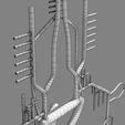 wfsub0005.jpg Human arterial system schematic 3D