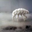 isp5-1.jpg Articulated Predominant Isopod BJD Kit 3D STL Files with & without sprues.