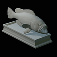 White-grouper-open-mouth-statue-64.png fish white grouper / Epinephelus aeneus open mouth statue detailed texture for 3d printing