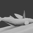 Whale-shark-closeup.png Remora with Whaleshark Wall Art