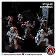 SS1.jpg Stellar Sentinels