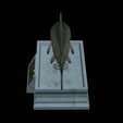 Zander-statue-16.png fish zander / pikeperch / Sander lucioperca statue detailed texture for 3d printing