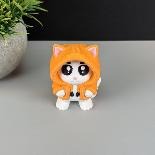 IMG_4974.jpg Gato con capucha