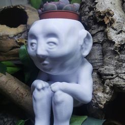 IMG_20230307_234323.jpg OBJ file Creepy planter・Template to download and 3D print