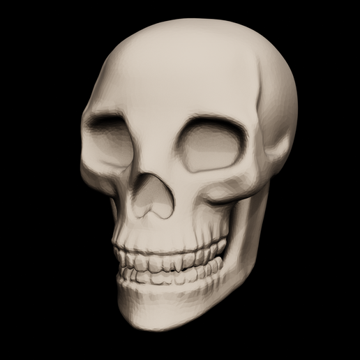 Skull