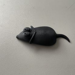 Souris magnétique