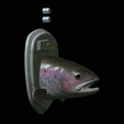 Rainbow-trout-solo-model-open-mouth-1-7.png fish head trophy rainbow trout / Oncorhynchus mykiss open mouth statue detailed texture for 3d printing