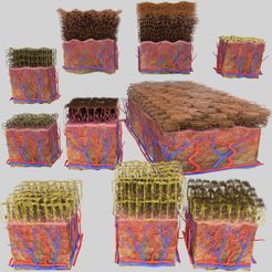 1200a.jpg STL file epithelial cells types collection 3D・3D printer design to download