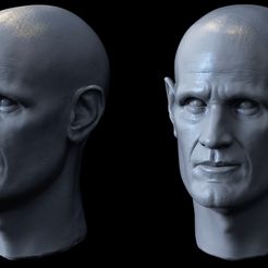 a.99835957.jpg STL file Matt Smith Head - Bald Version・3D printer model to download