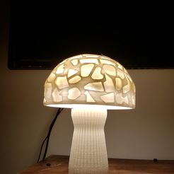 20210721_185143.jpg Mushroom Lamp | 220 v | Design