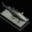 coalfish-statue-box-1-45.png fish coalfish / Pollachius virens with storage space / for 3d printing