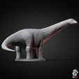 apatosaurus_back.png Dinosaurs - Dino Bundle 1