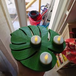 116789681_3194992760592899_7208592351767625709_n.jpg STL file Leaf candle holder , tealight・3D printer model to download