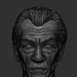 Screenshot_3.jpg Ian McKellen and Magneto head - Printable 3d impression