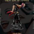 h-12.jpg Harley Quinn and Catwoman - Collecible Edition