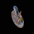 pstruh-klacky-1-5.png rainbow trout 2.0 underwater statue detailed texture for 3d printing