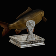 common-carp-trophy-2-2-1-8.png COMMON CARP (CYPRINUS CARPIO) fish in motion trophy statue detailed texture for 3d printing