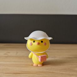 20230627_140720.jpg STL file Kawaii style Bird with hat・3D printing model to download