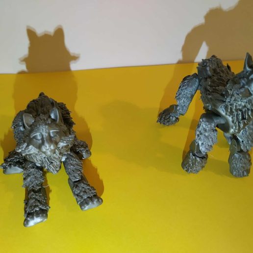 IMG-20230514-WA0009.jpg Boreal lynx