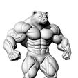1.jpg Big Bear - Big Bear - Oso Grande - الدب الكبير