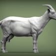 goat4.jpg Goat 3D print model