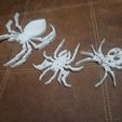 WhatsApp-Image-2023-04-22-at-20.46.41-1.jpeg ARTICULATED SPIDER 2