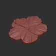 Hibiscus3.jpg Hibiscus 3d relief fichier .stl