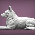 Germanо_Shepherd2.jpg German Shepherd 3D print