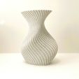 Photo-11-01-2024,-09-38-00.jpg Organic-shaped spiral vase