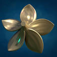Plmr1-07.png Flor de plumeria