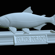 Golden-dorado-statue-22.png fish golden dorado / Salminus brasiliensis statue detailed texture for 3d printing