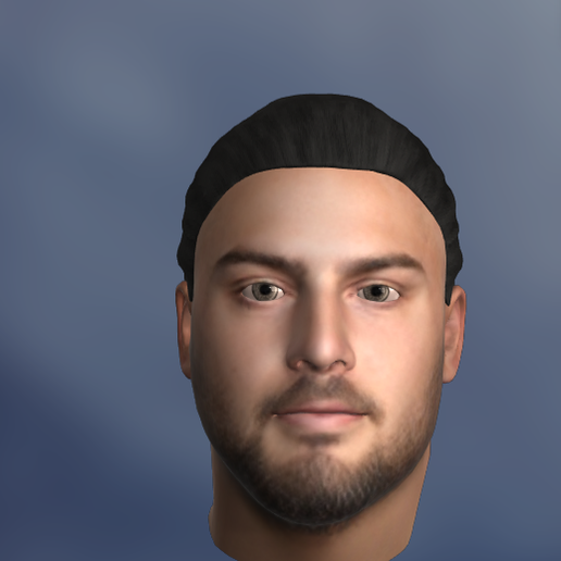 DAVID BAKHTIARI 3D model