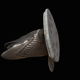 northern-pike-10.png head trophy NORTHERN PIKE (ESOX LUCIUS) open mouth statue detailed texture for 3d printing
