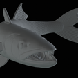 Barracuda-huba-trophy-21.png fish great barracuda statue detailed texture for 3d printing