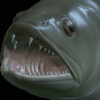 zander-open-mouth-tocenej-23.png fish zander / pikeperch / Sander lucioperca trophy statue detailed texture for 3d printing