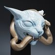 Cat-5.jpg Cat Sphynx Head