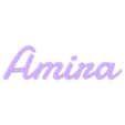 Amira.stl Amira