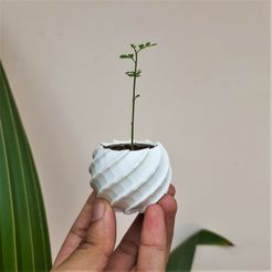 20230829_140434-1.jpg Free STL file Spherical Tiny Planter Pot・Object to download and to 3D print