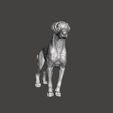 2023-02-21-01_48_09-Window.png FIGURE OF A GREAT DANISH DOG PET FIGURE German Pug German Alano