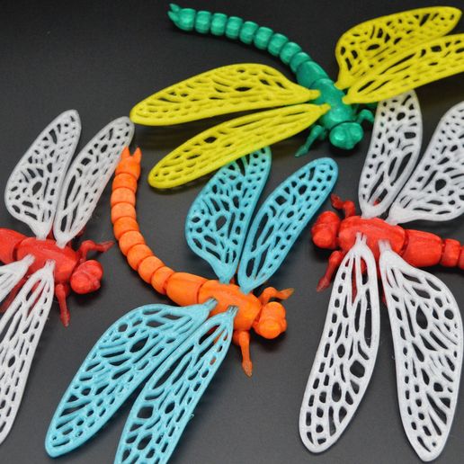 DSC_8143.jpg Flexi dragonfly
