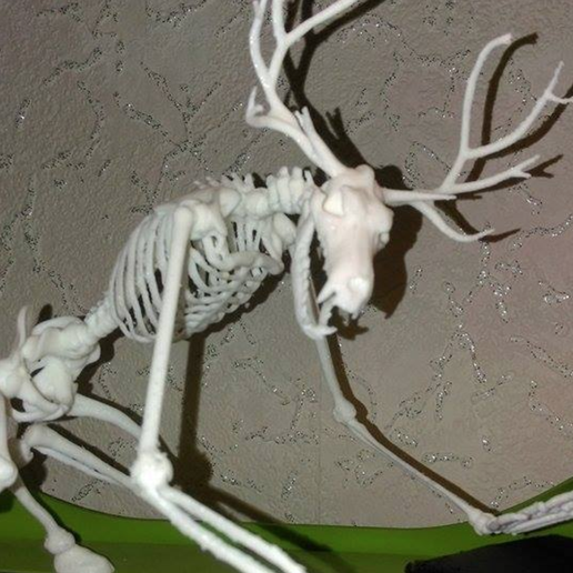 Capture d’écran 2017-03-28 à 15.08.15.png Unknown Creatures N° 1 - Wendigo Skeleton