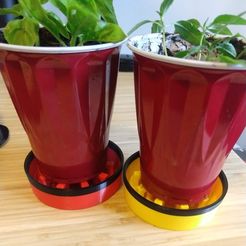 cups_in_trays.jpg Solo Cup Seedling Planter Drip Tray