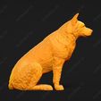 463-Australian_Cattle_Dog_Pose_04.jpg Australian Cattle Dog 3D Print Model Pose 04