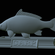 carp-statue-32.png fish carp / Cyprinus carpio statue detailed texture for 3d printing