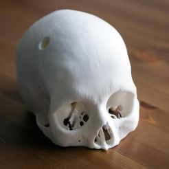 Cr_ne_humain_Cerebrix_-_Cults_-_by_Prevue.jpg Free STL file Cerebrix Human Skull・Object to download and to 3D print, Cults